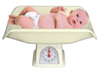 Babye Weighing Scale