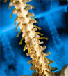 X-RAY Equipments